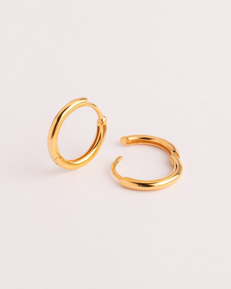 Small Hoop Earrings
