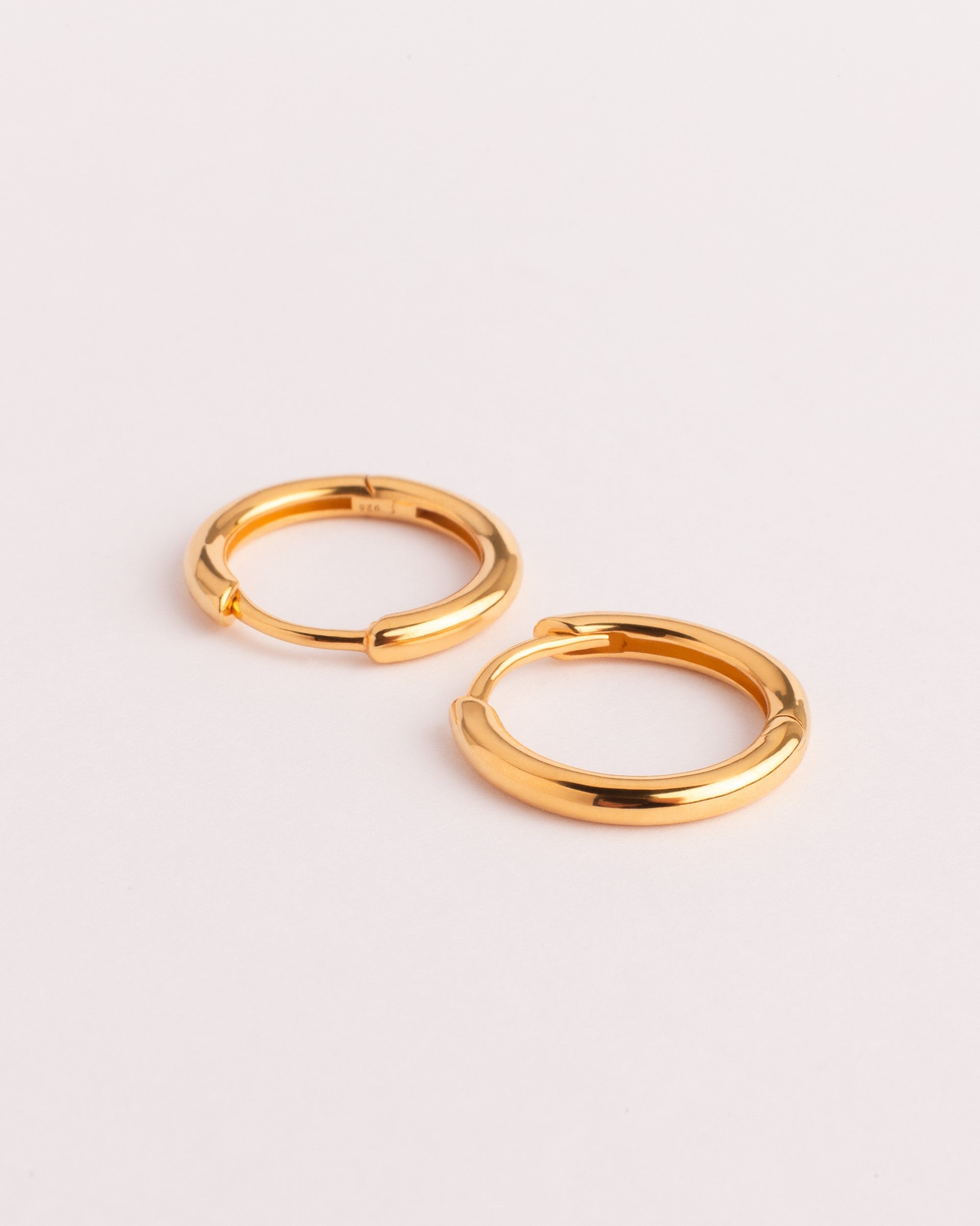 Small Hoop Earrings